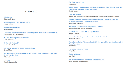 Aftermath - Life in Post-Roe America by Elizabeth G. Hines (Digital book)