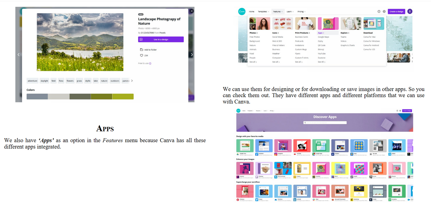 Canva - Professional Tips and Tricks When You Design with Canva (Step by Step Canva Guide for Work or Business with Pictures) (Digital book)