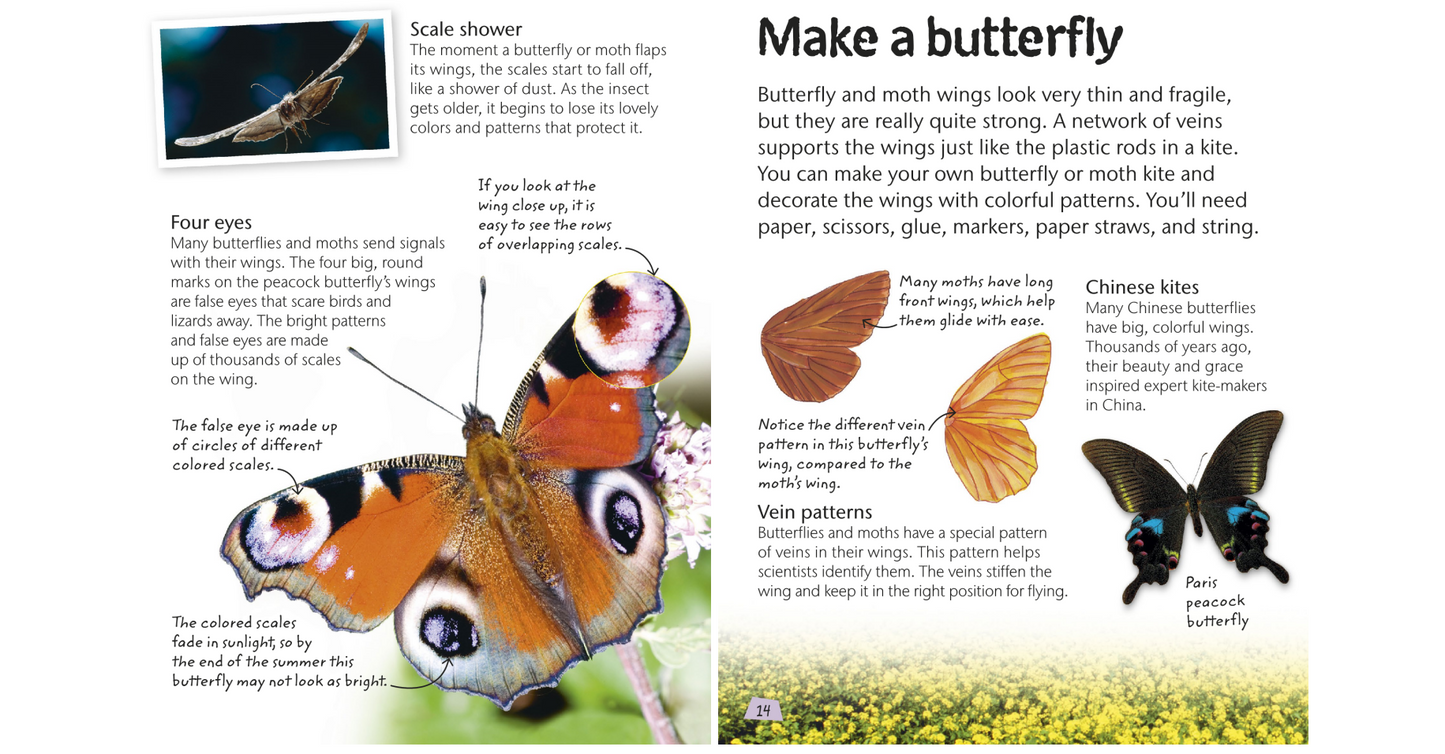 Butterflies and Moths - Explore Nature with Fun Facts and Activities (Nature Explorers) By DK (Digital book)