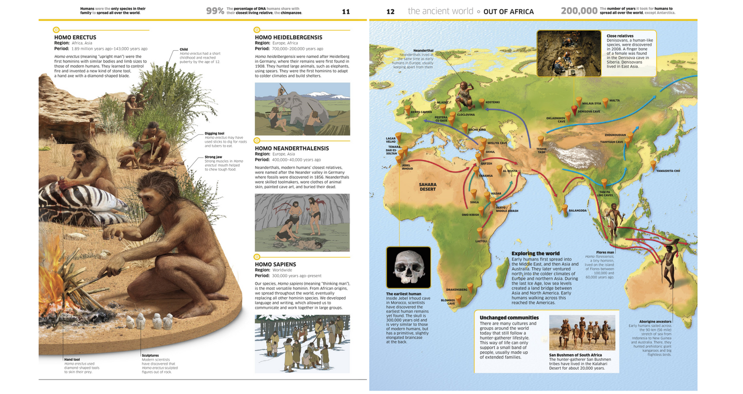 History! - The Past as You’ve Never Seen it Before (DK Knowledge Encyclopedias) (Digital book)