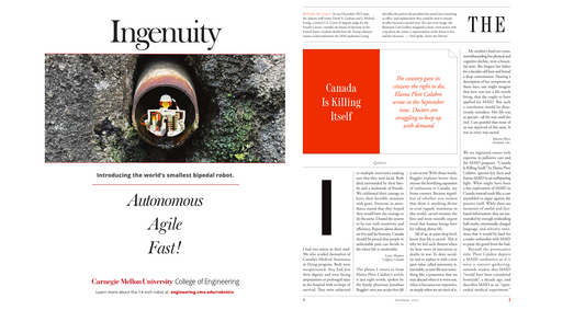 the Atlantic -the coming election mayhem-