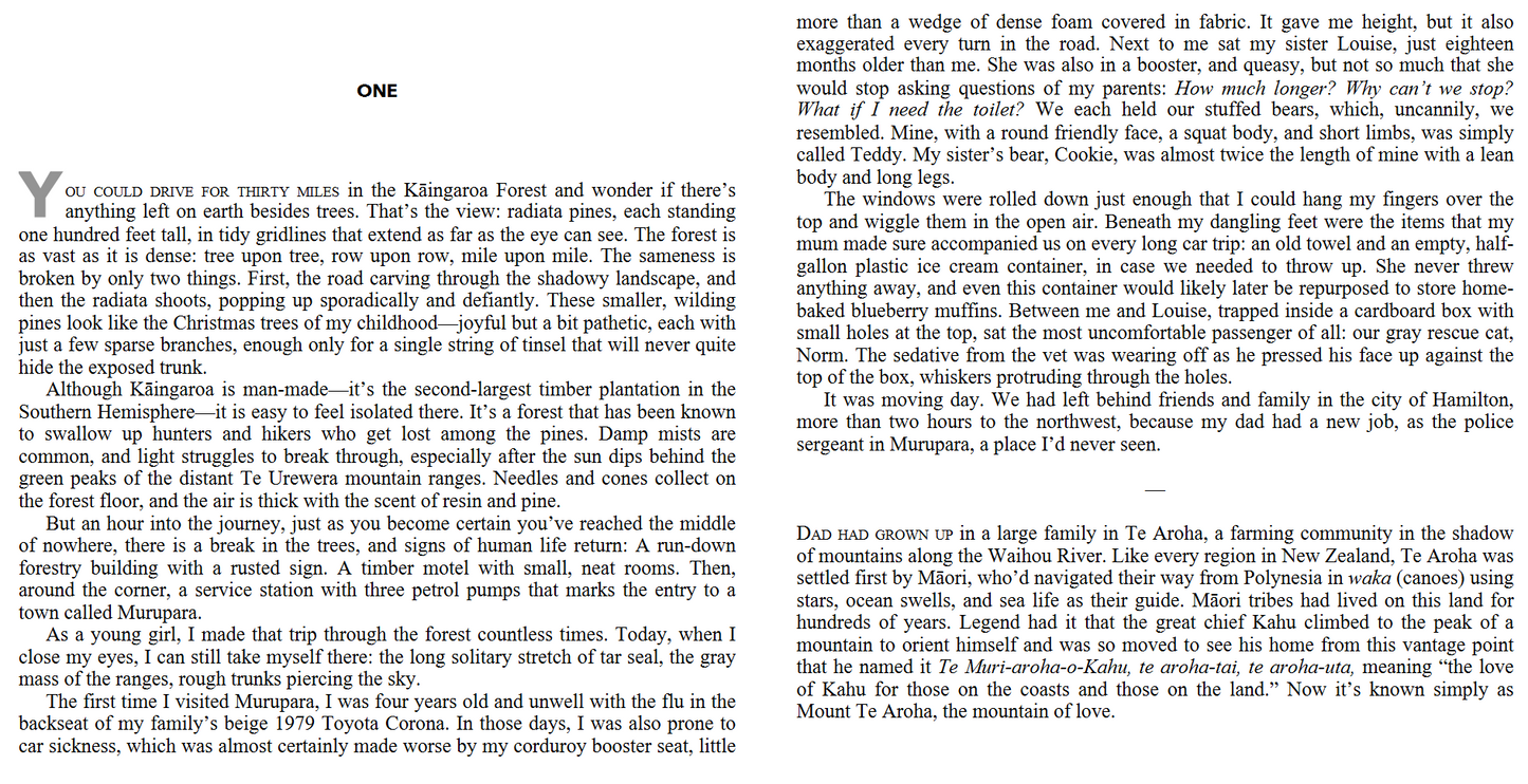 A_Different Kind of Power by Jacinda Ardern (Digital book)