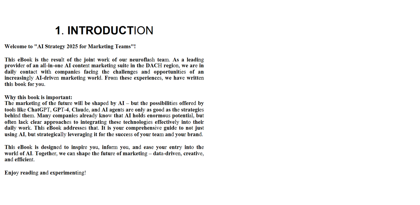 AI strategy 2025 for maketing teams (Digital book)