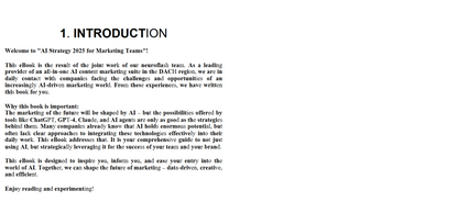 AI strategy 2025 for maketing teams (Digital book)