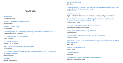 Aftermath - Life in Post-Roe America by Elizabeth G. Hines (Digital book)