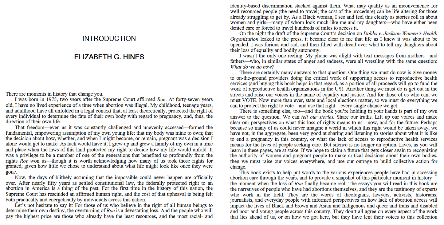 Aftermath - Life in Post-Roe America by Elizabeth G. Hines (Digital book)