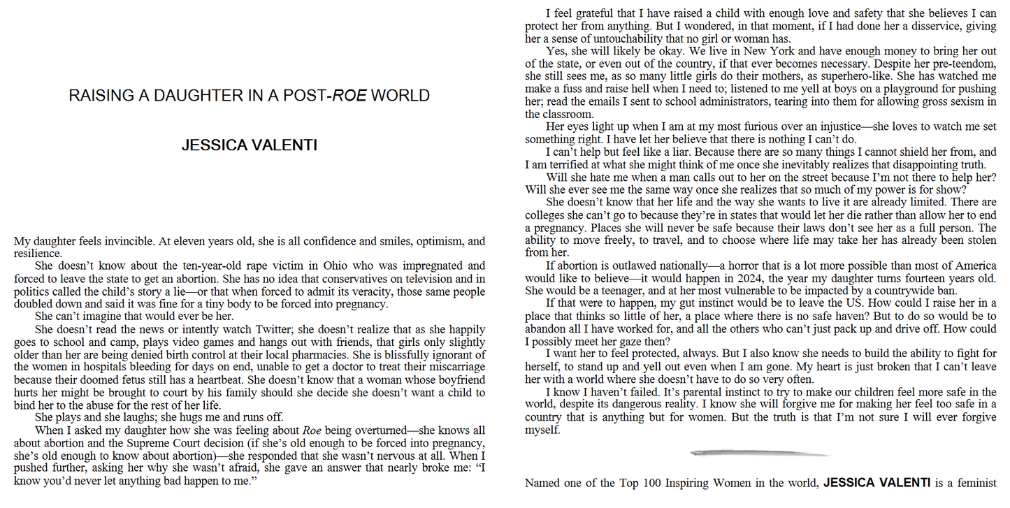 Aftermath - Life in Post-Roe America by Elizabeth G. Hines (Digital book)