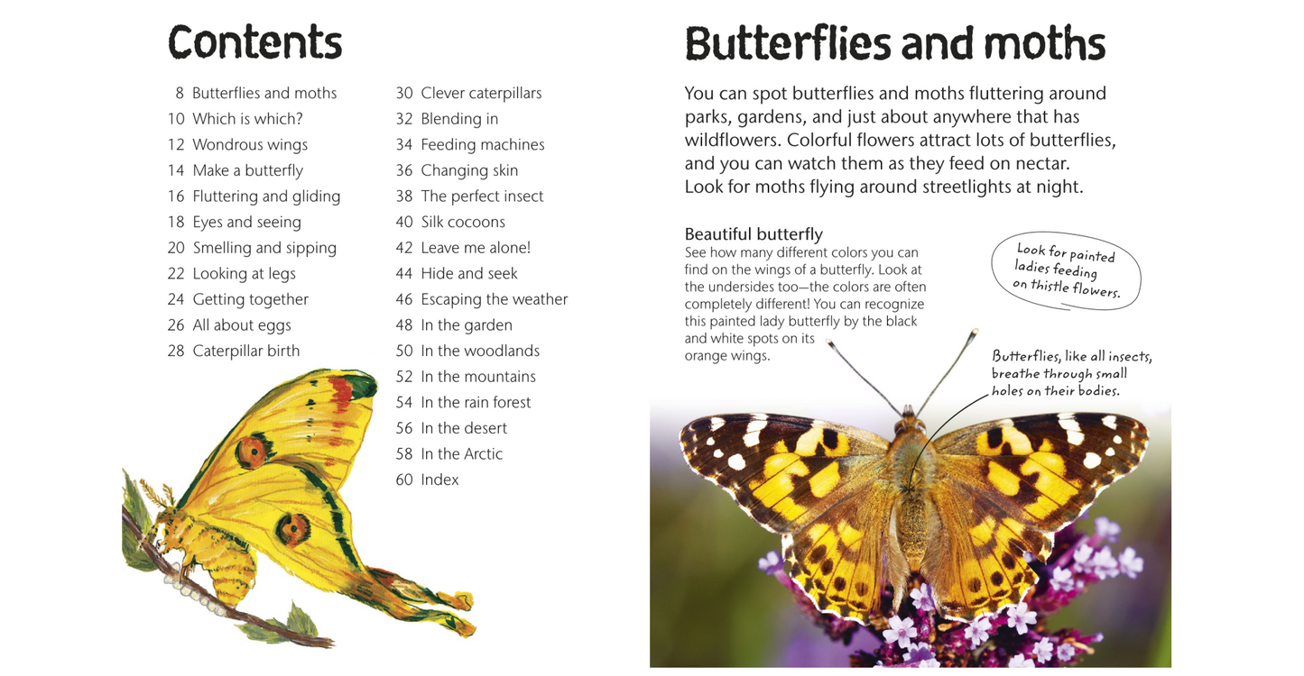 Butterflies and Moths - Explore Nature with Fun Facts and Activities (Nature Explorers) By DK (Digital book)