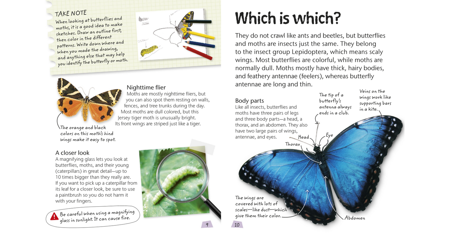 Butterflies and Moths - Explore Nature with Fun Facts and Activities (Nature Explorers) By DK (Digital book)