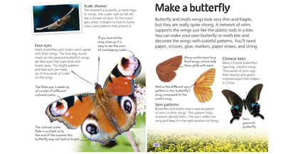 Butterflies and Moths - Explore Nature with Fun Facts and Activities (Nature Explorers) By DK (Digital book)