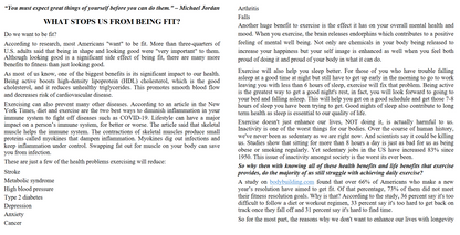 Fitness - The Home Workout Solution - The Most Effective Permanent Solution to Long Term Fitness (Digital book)