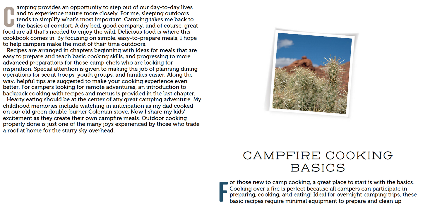 Hungry Campers - Cooking Outdoors for 1 to 100 (Digital book)