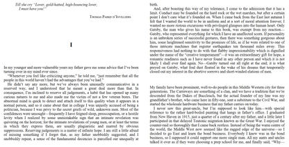 The great Gatsby by Scott Fitzgerald (Digital book)